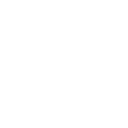 FC Friedrichstadt - Fußballverein - Symbol
