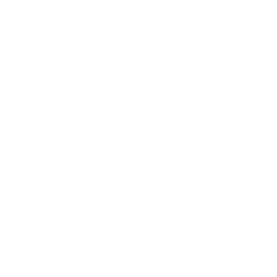FC Friedrichstadt - Fußballverein - Symbol